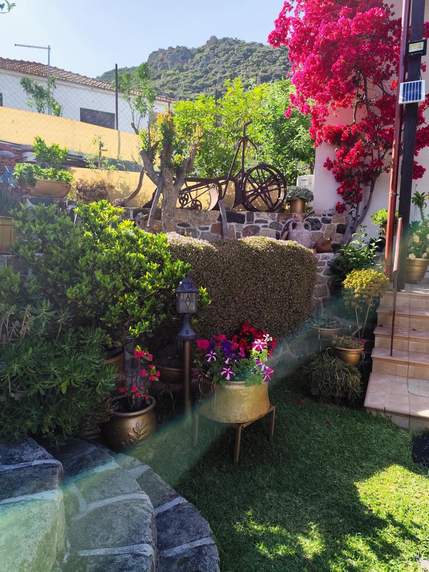 Sweet Home Sykia Chalkidikis Exterior foto